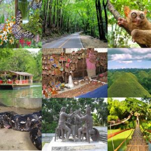 Explore the beauty of 2023 Bohol Countryside Tour, a captivating journey through scenic landscapes.
